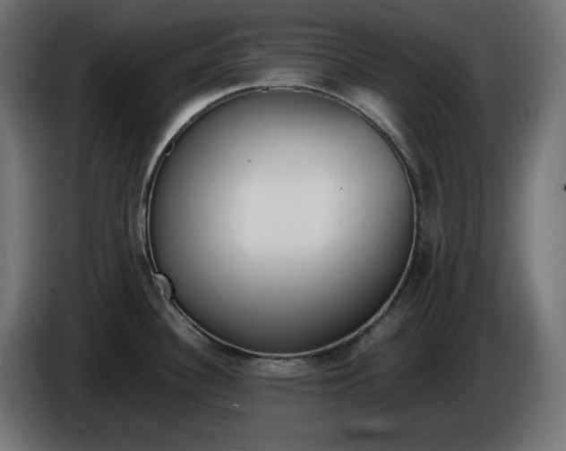 X0000086311340200704131623