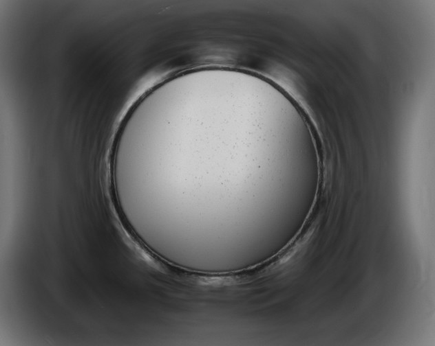 X0000086311341200704131623