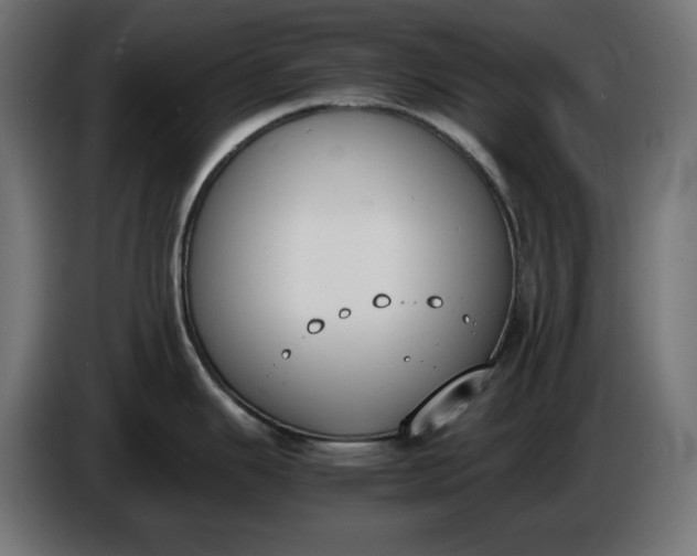 X0000086311343200704131623