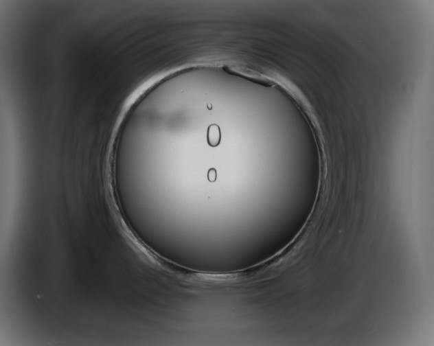 X0000086311344200704131623