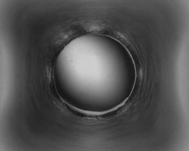 X0000086311348200704131622