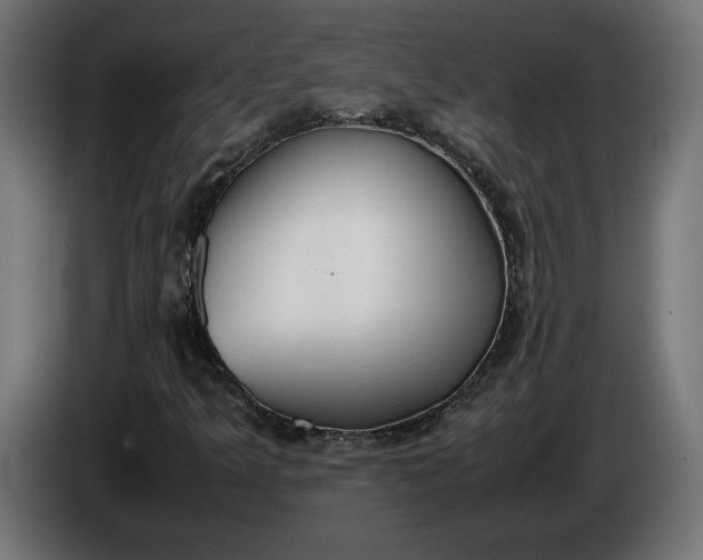 X0000086311349200704131622