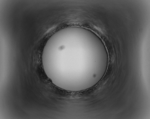 X0000086311350200704131622