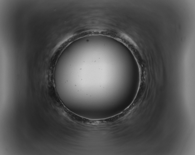 X0000086311352200704131622