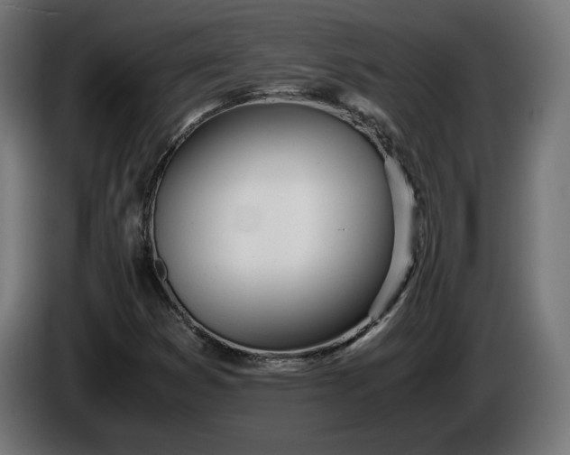 X0000086311353200704131622