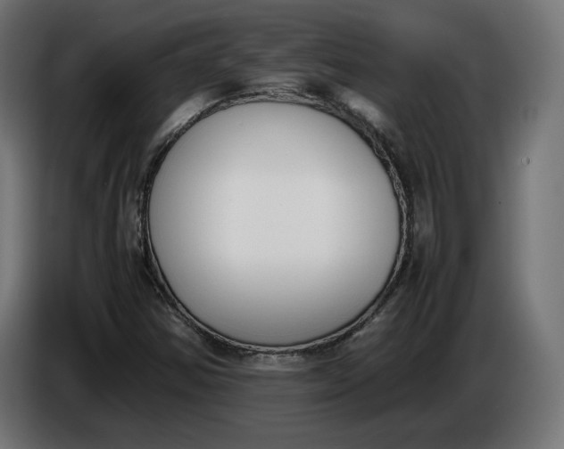 X0000086311354200704131622