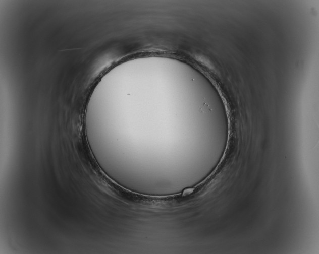 X0000086311355200704131622