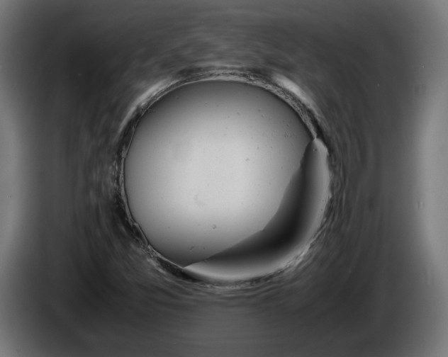 X0000086311357200704131622
