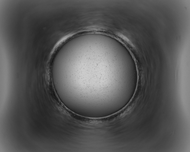 X0000086311358200704131622