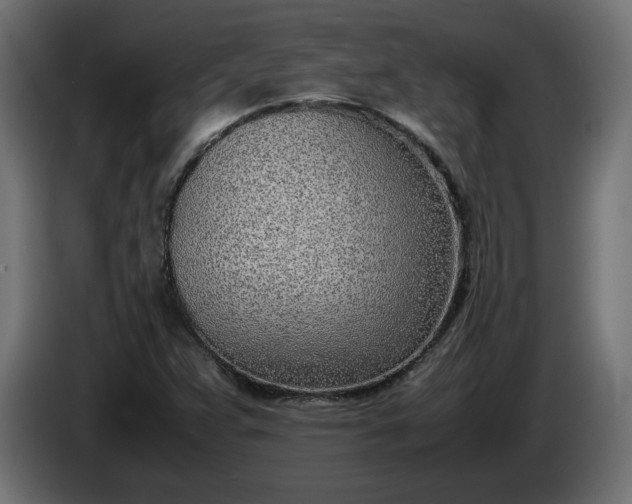 X0000086311359200704131622