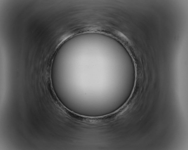 X0000086311361200704131622