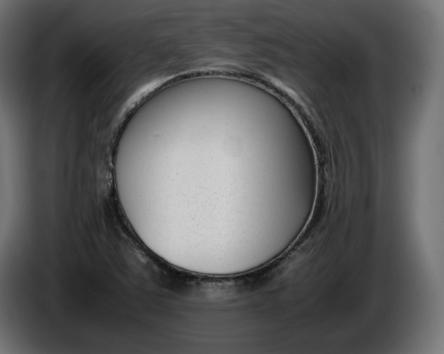 X0000086311363200704131622