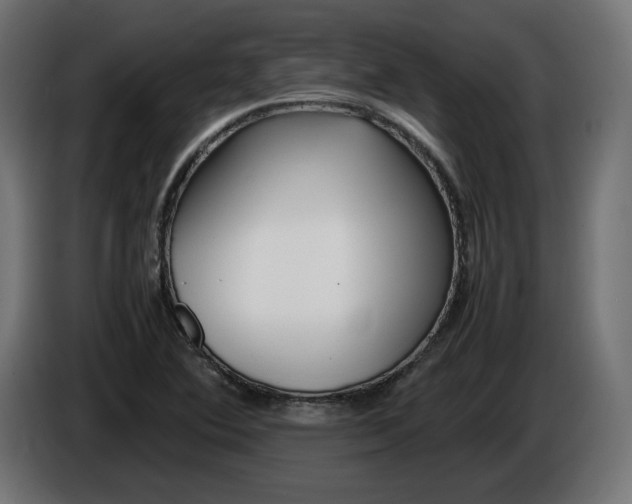 X0000086311364200704131622