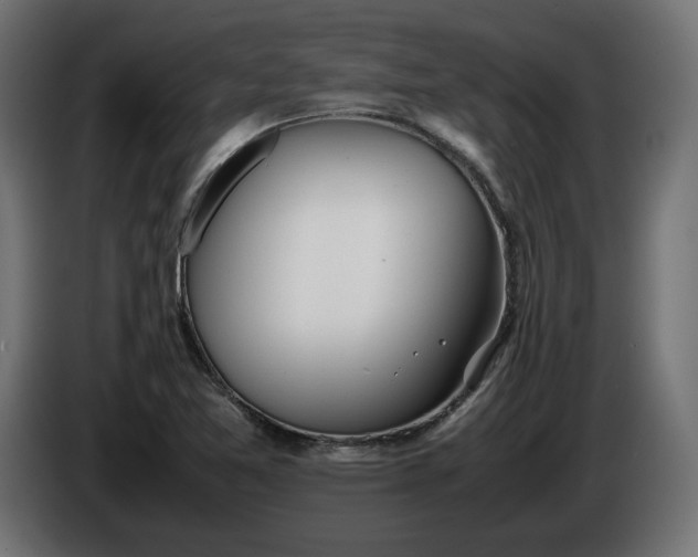X0000086311365200704131622