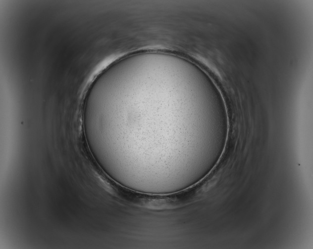 X0000086311367200704131622