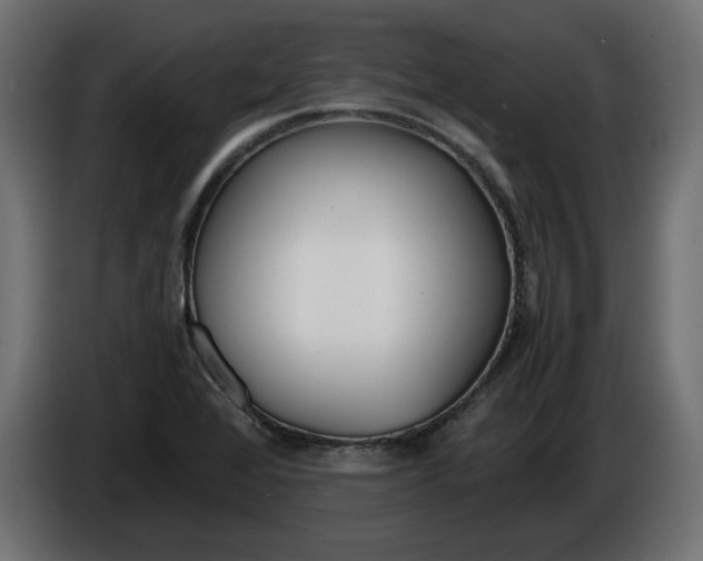 X0000086311368200704131622
