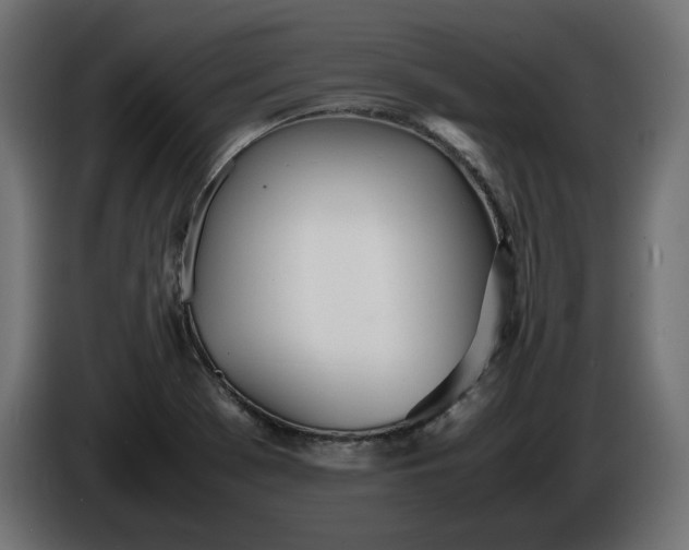 X0000086311369200704131622