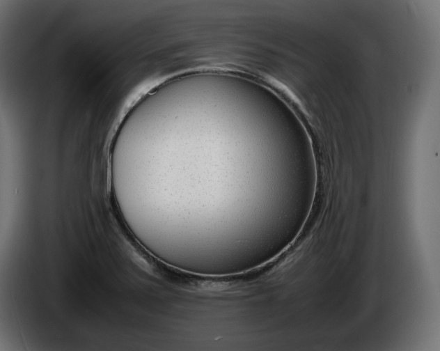 X0000086311371200704131622