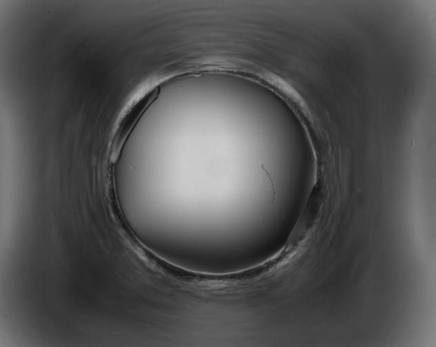 X0000086311373200704131622