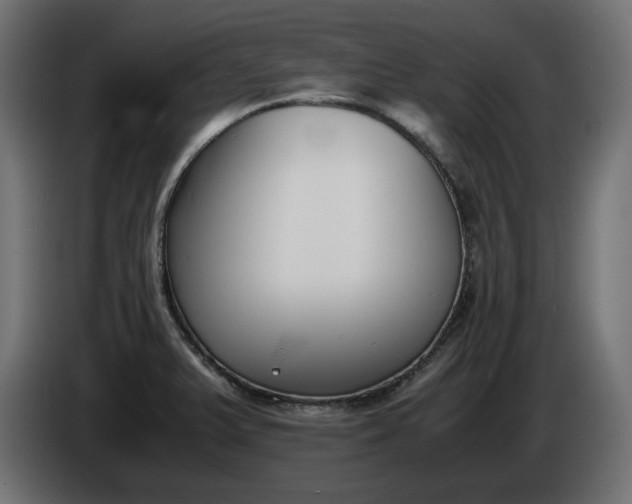 X0000086311375200704131622