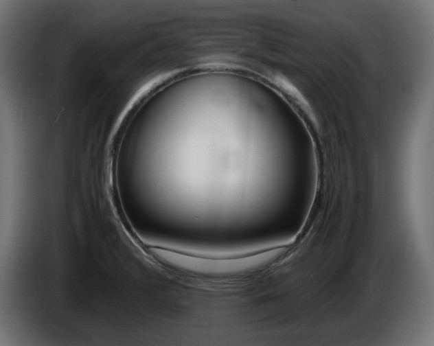 X0000086311376200704131622