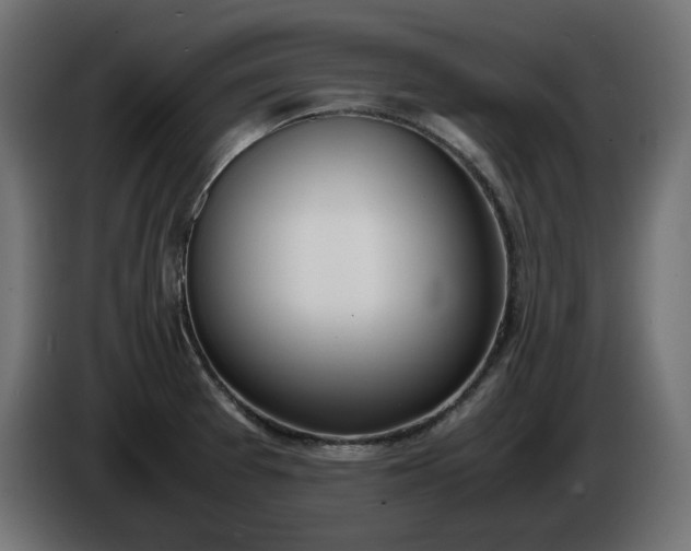 X0000086311377200704131622
