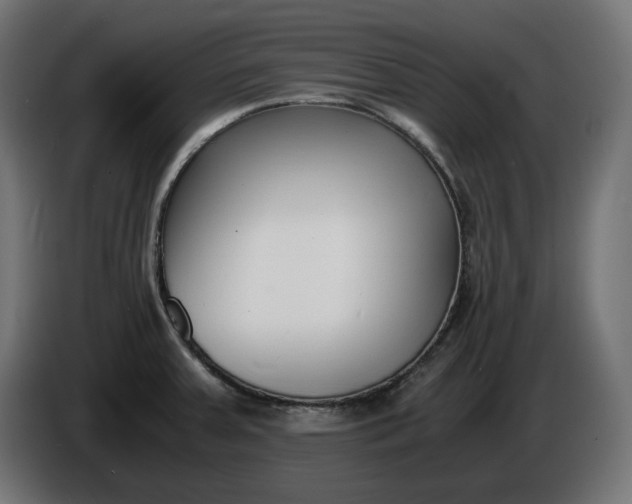 X0000086311379200704131622
