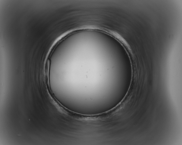 X0000086311380200704131622