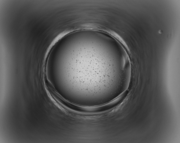 X0000086311381200704131622