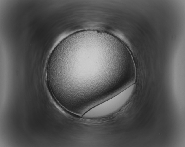 X0000086311383200704131622