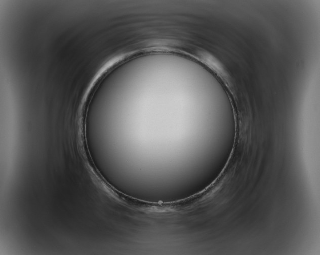 X0000086311384200704131622