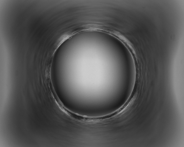 X0000086311385200704131622