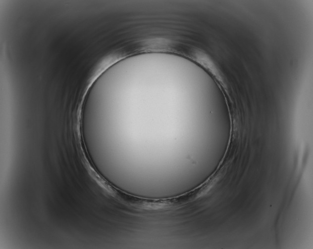 X0000086311386200704131622