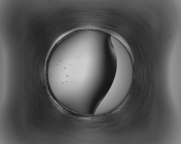 X0000086311388200704131622