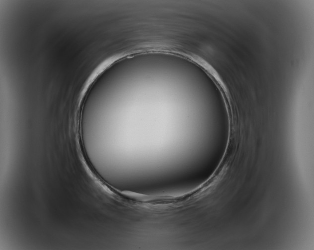 X0000086311389200704131622