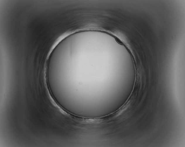 X0000086311390200704131622