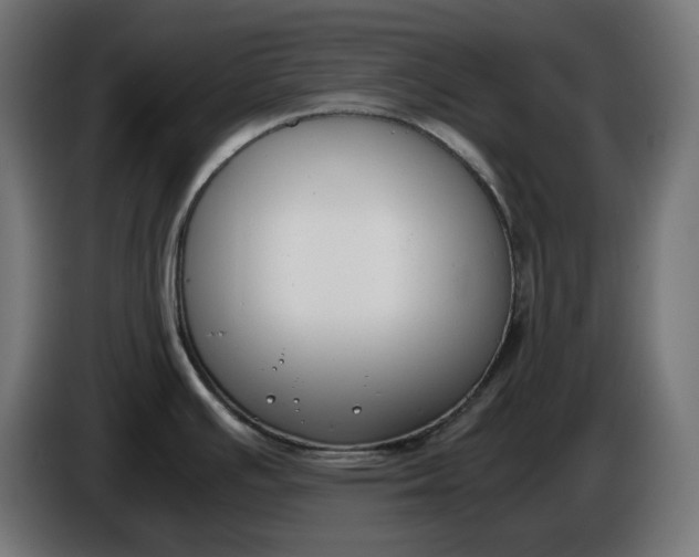 X0000086311391200704131622