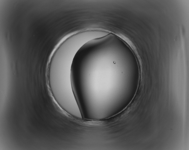 X0000086311392200704131622