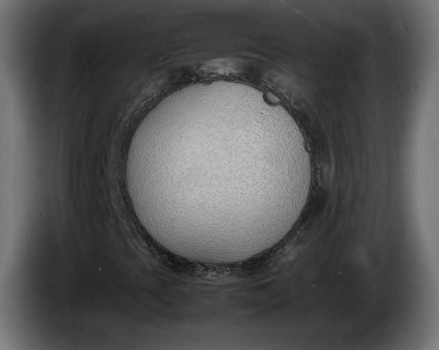 X0000086311393200704131621
