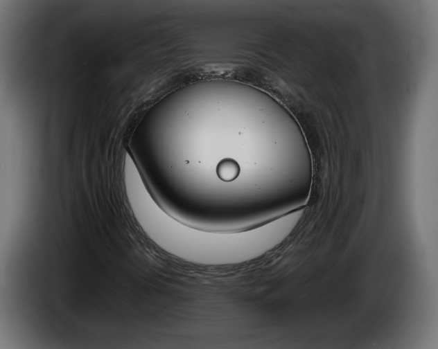 X0000086311394200704131621