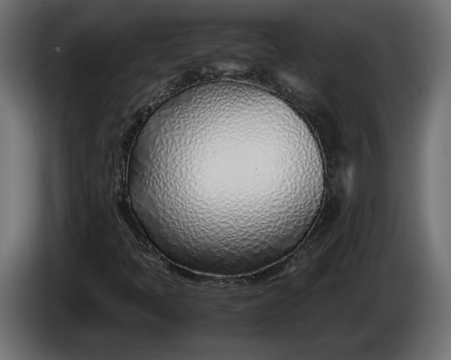 X0000086311397200704131621