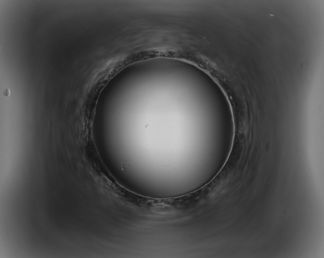 X0000086311398200704131621