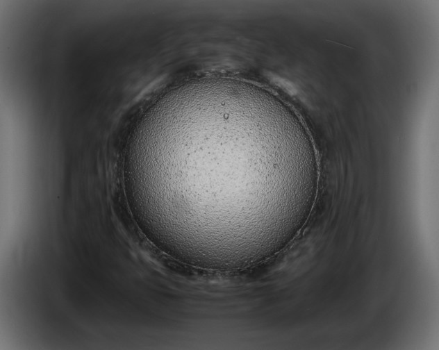 X0000086311399200704131621