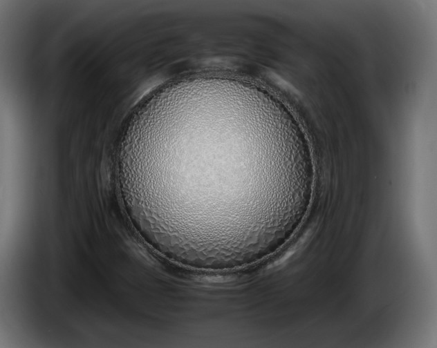 X0000086311401200704131621
