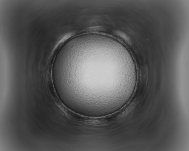 X0000086311405200704131621
