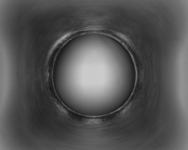 X0000086311406200704131621