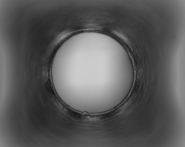 X0000086311407200704131621