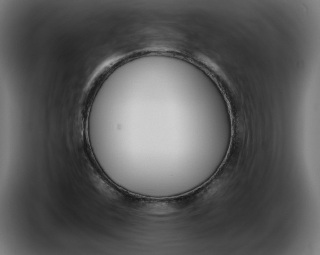X0000086311408200704131621