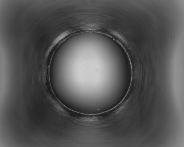 X0000086311410200704131621