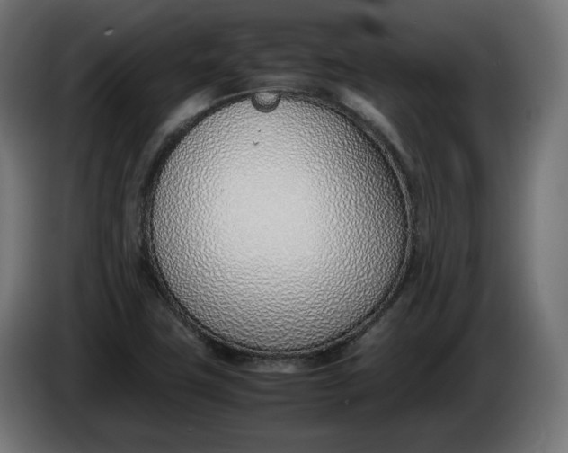 X0000086311411200704131621